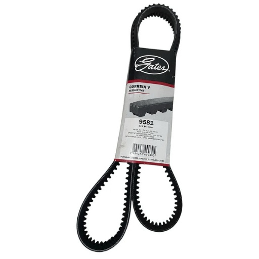 Correia V 9581- 13x1475